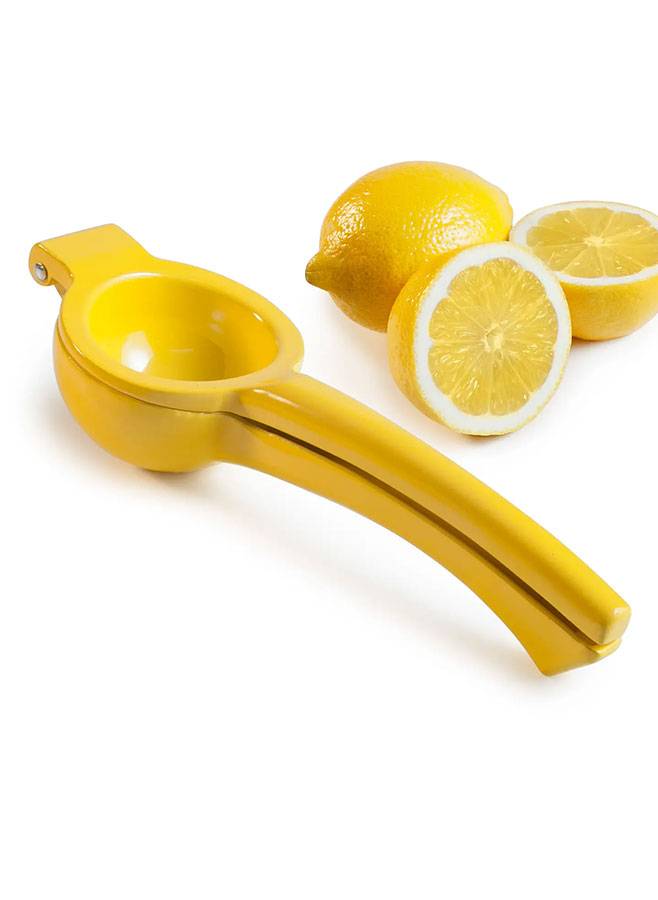 Citron Squeezer- Ibili