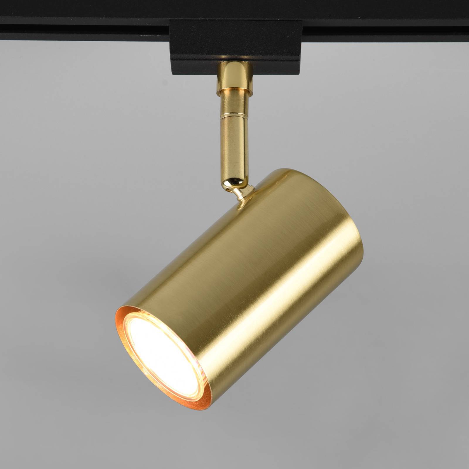 Trio Lighting spot Marley DUOline, GU10, matt mässing, med 2 kretsar dimbar, Mässing / guld, Vardagsrum / matsal, Metall, Modern, Skensystem
