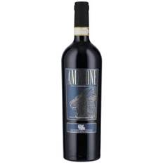 Poderi Del Leone Amarone della Valpolicella 2015