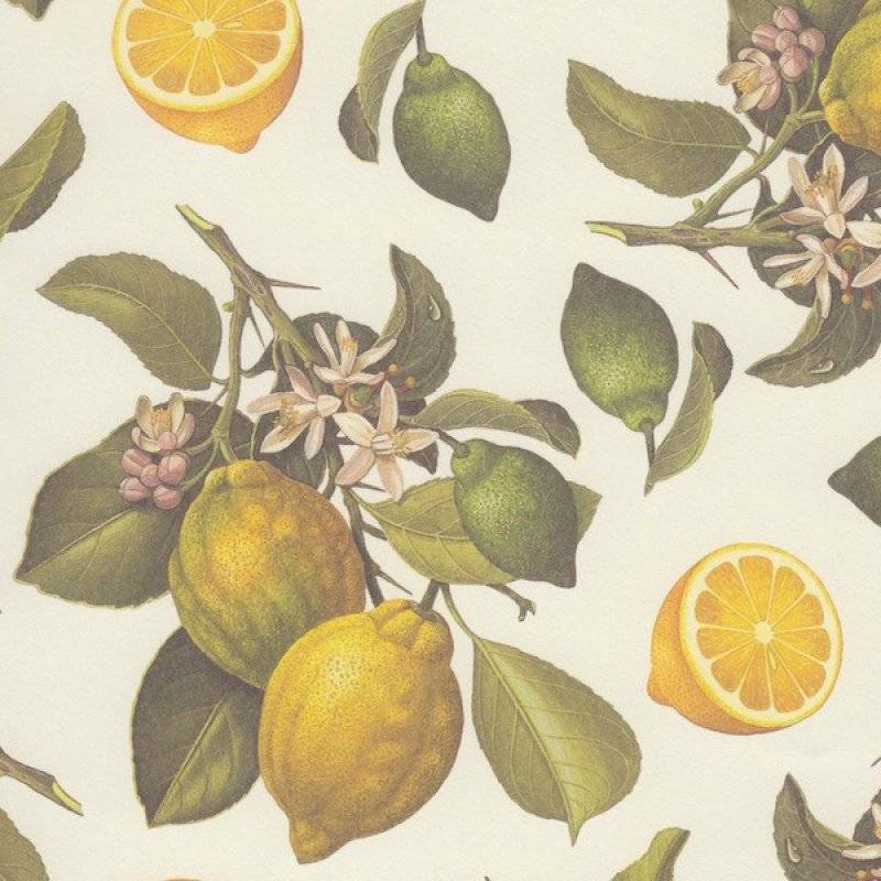 Rossi DP 564 - Citroner - Gul
