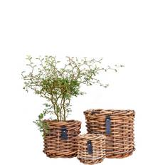 Rattan urtepotter <br><br> sæt af 3 str. <br><br>