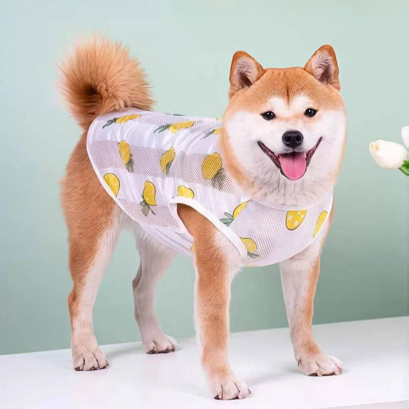 Breathable Mesh Cooling Vest for Dogs - Pineapple / S (S)