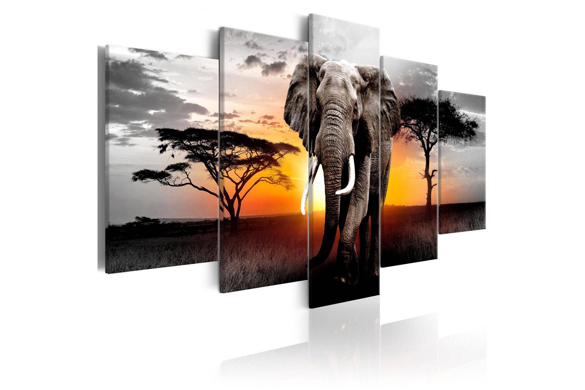 Tavla Elephant At Sunset 100x50 - Artgeist sp. z o. Canvastavlor Vit,Flerfärgad