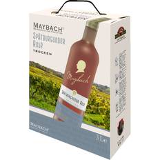 Maybach Spätburgunder Rosé