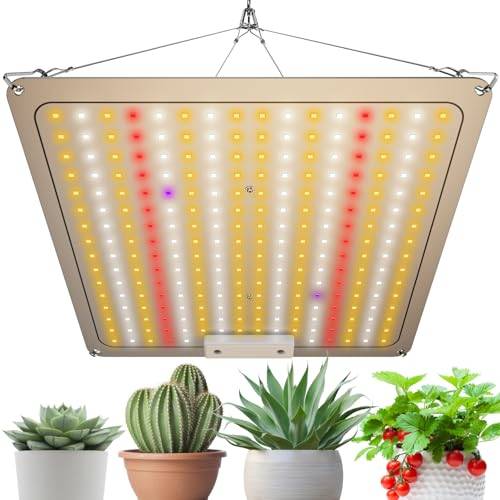 60W LED Grow Light Panel [Improved Heat Dissipation/IP65 Waterproof] Warm White, 256 LEDs, Full Spectrum, UV/IR, Long Life, Quantum Lamp, Indoor Grow