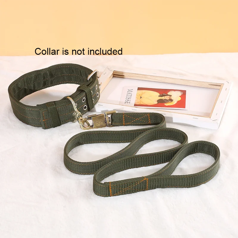 Heavy Duty Nylon Dog Leash & Collar Set - Green without collar / 150cm (150cm)