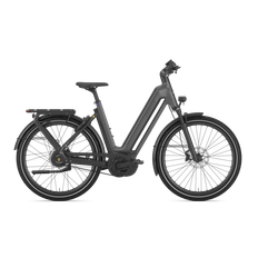 Gazelle Eclipse C380 HMB - Anthracite Grey (L)