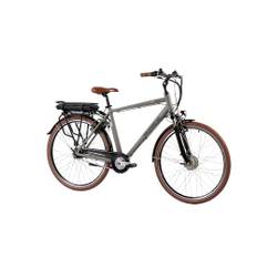 F.lli Schiano E-Moon, E Bike Trekking 28 Zoll, 36V 13Ah Abnehmbarer Akku, Motor 250W 40Nm, Trekking EBike für Herren, Grau