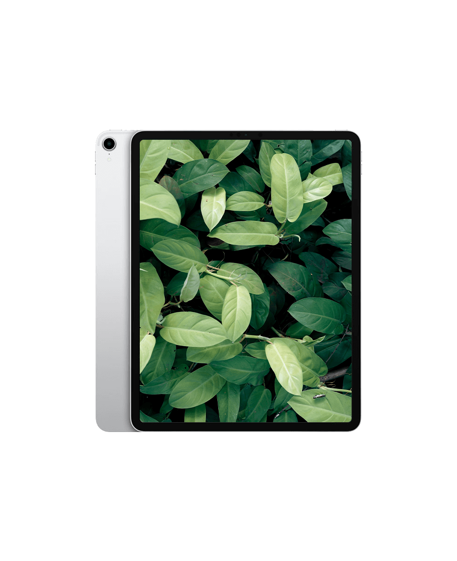 iPad Pro 3 (2018) 12.9" Wi-Fi + 4G Silver / 512GB / Bra skick