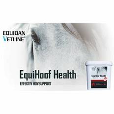 EquiHoof Health