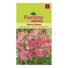 Blomfrö Piardino Paradisblomster Cherry Queen