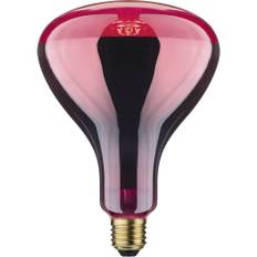 Paulmann Infrarød pære E27 150 W (Ø x L) 125 mm x 173 mm 230 V 1 stk