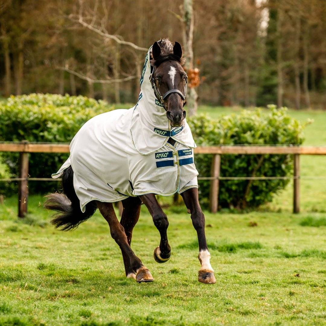 Horseware - Amigo Bug Rug Insektdækken - Grå/Grøn - Lys Grå/Mørkeblå og limegrøn / 115