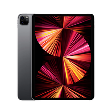 Brugt iPad Pro 11" 3. Gen (2021) Cellular - 256GB / Brugbar / Sølv