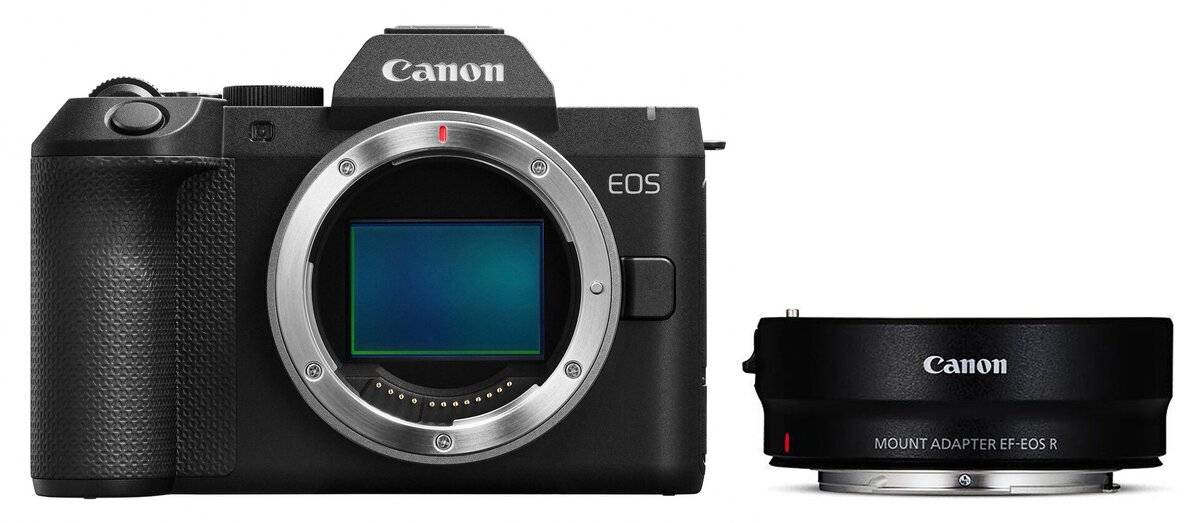 Canon EOS R8 Mark II Body + EF-EOS R Lens Adapter (Without Control Ring)