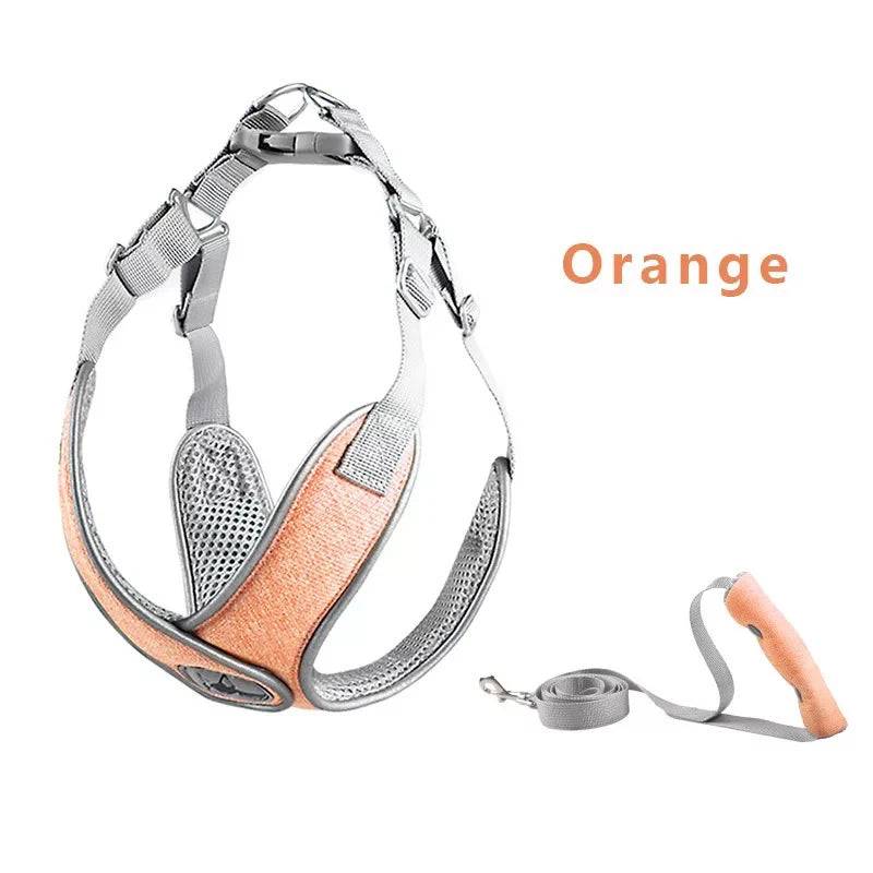 Reflective Mesh Dog Harness & Leash Set for Small & Medium Dogs - orange set / M (M)