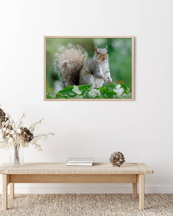 Poster - Surprise Surprise