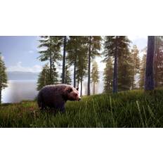 Hunting Simulator 2 Elite Edition Steam CD Key