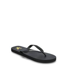 LYLE & SCOTT Flip Flop |Svart |9