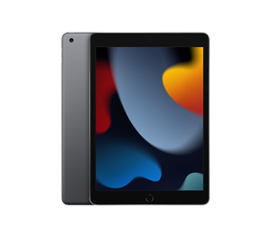 Apple 10.2-inch iPad Wi-Fi Cellular 10.2" 64GB Grå - New Open Box --> På lager, levering hos dig 22-09-2026