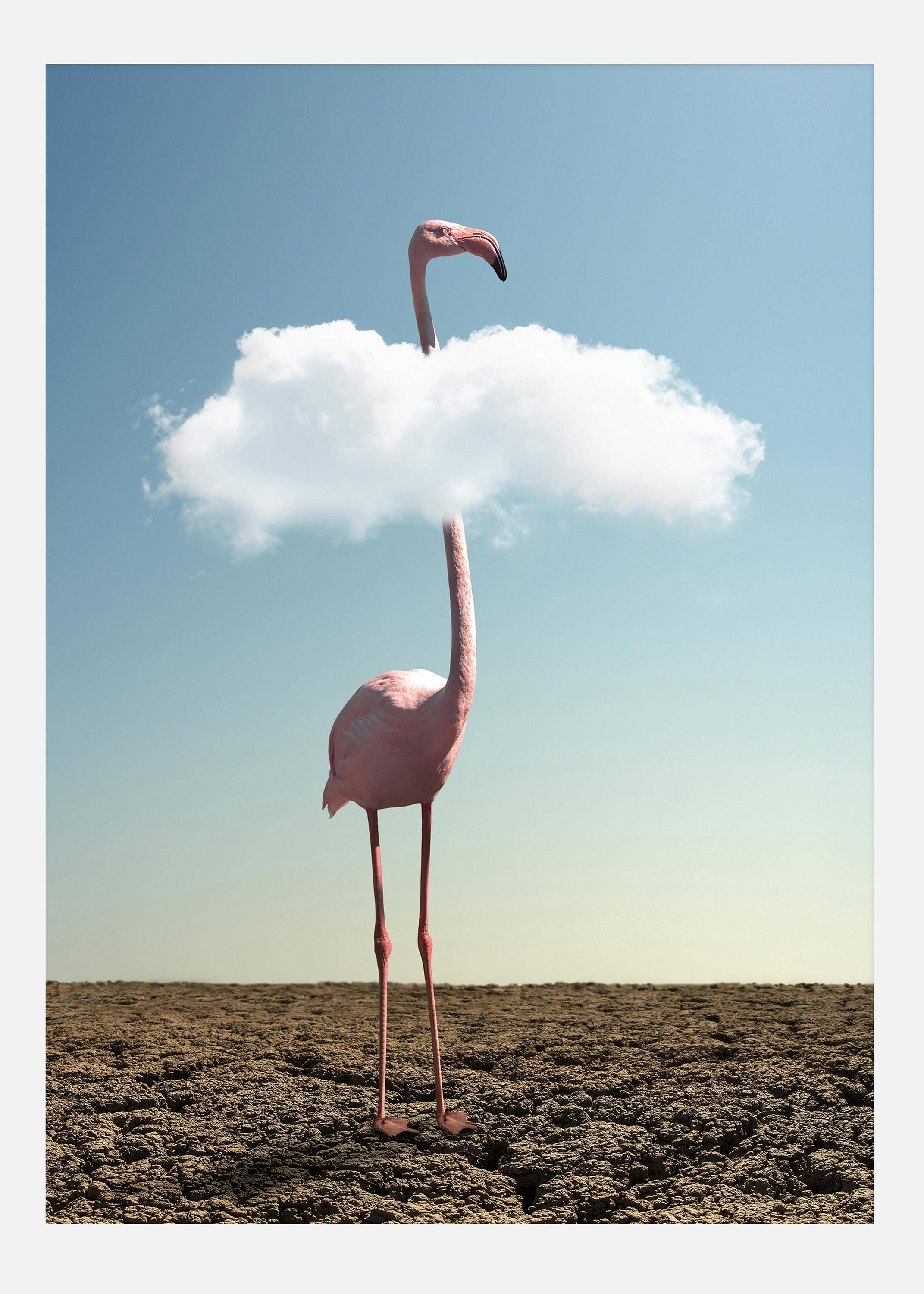 Cloudy Flamingo Canvastavla (50x70 cm)