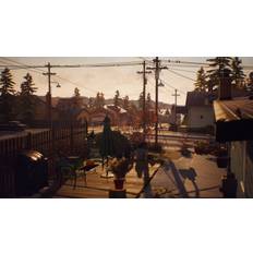 Life is Strange 2 Complete Season Steam CD Key