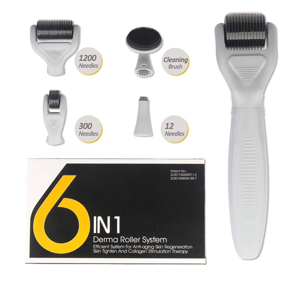 6 IN 1 DERMA ROLLER.