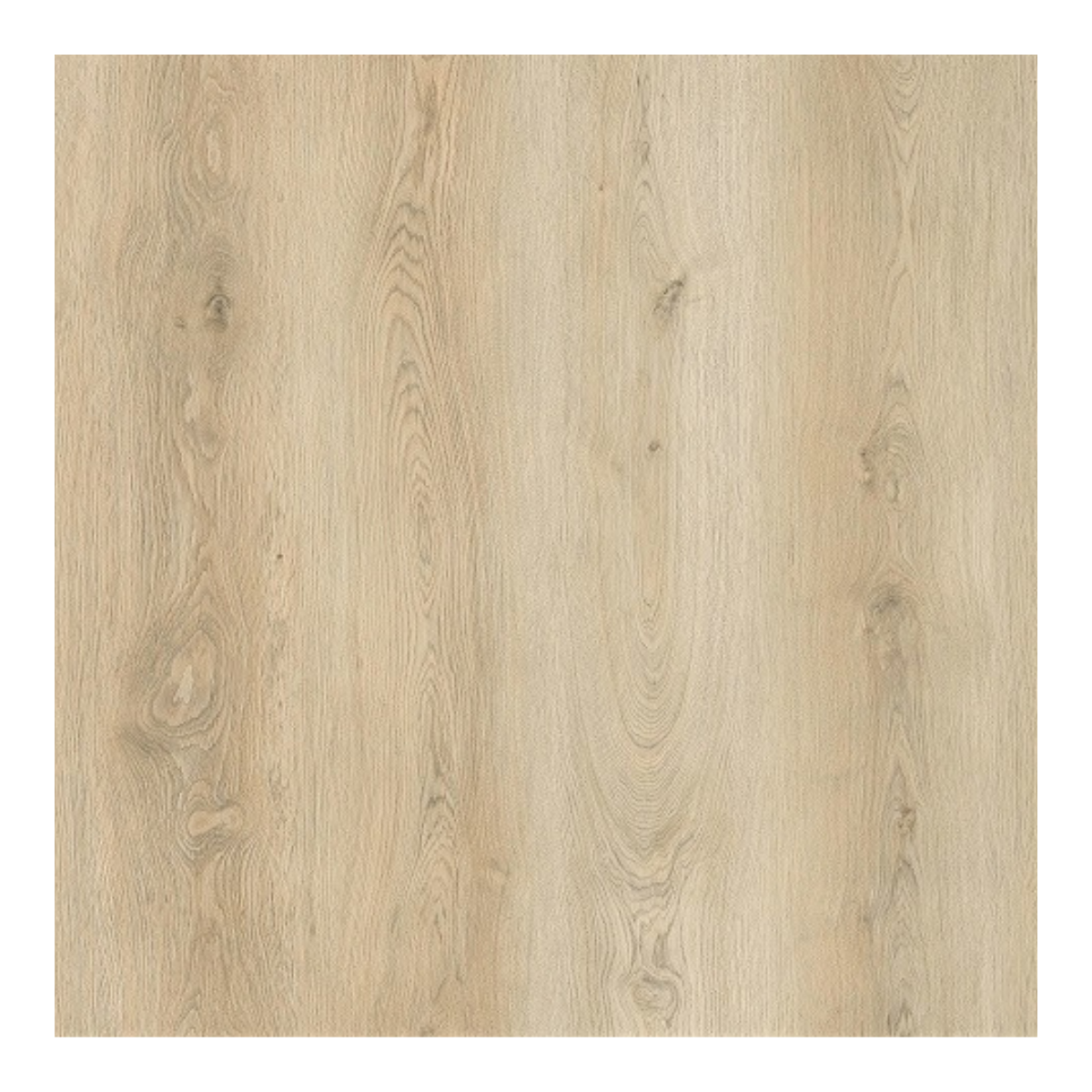 Migadan - Elite large EKSKLUSIV 10 mm lvt klik m. kork Lys Eg 337 vareprøve - Eksklusiv elite lys eg - Gulve.