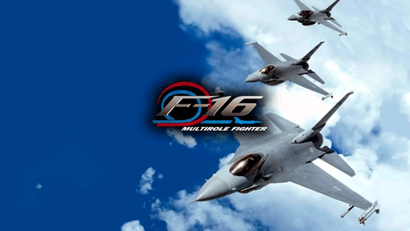 F-16 Multirole Fighter (PC)