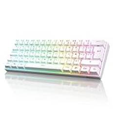 RK ROYAL KLUDGE RK61 Fransk AZERTY Trådlöst Vitt Tangentbord, 60% RGB-mekaniskt Spelartangentbord Med Anpassningsbar Nyckel, Dubbla Injektionsknappar (Switch Blue Hot-Swap)