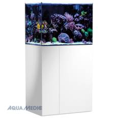 Armatus 250 white.