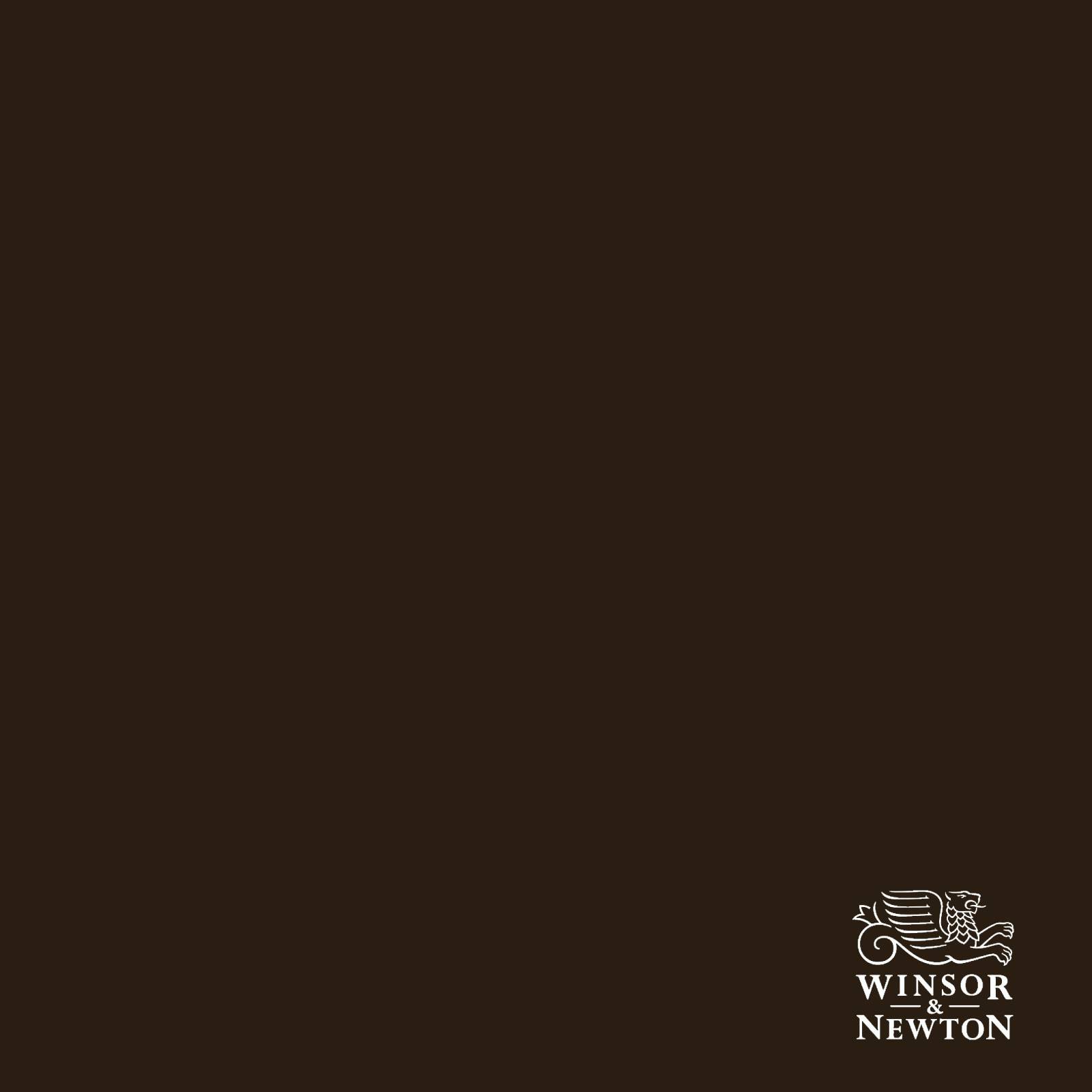 W&N RAW UMBER 554, 60 ml