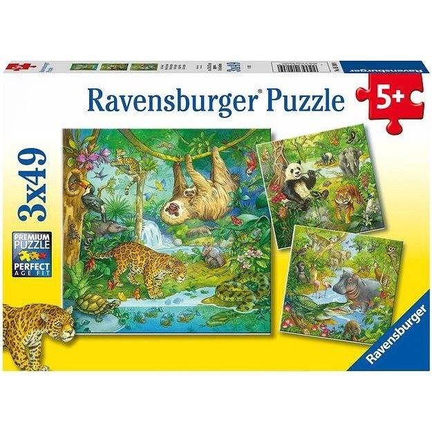 Pussel 3 x 49 bitar, in the jungle