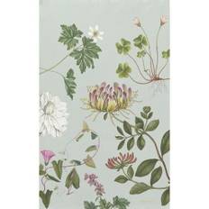 ØKOLOGISK VISKESTYKKE - The Flora Danica Atlas