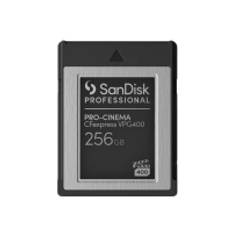 SanDisk - Flash-minneskort - 256 GB - CFexpress, typ B - svart