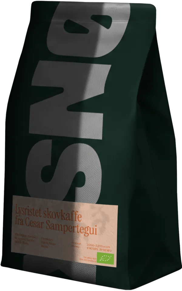 Cesar Sampertegui 250g Lysristet kafferistede