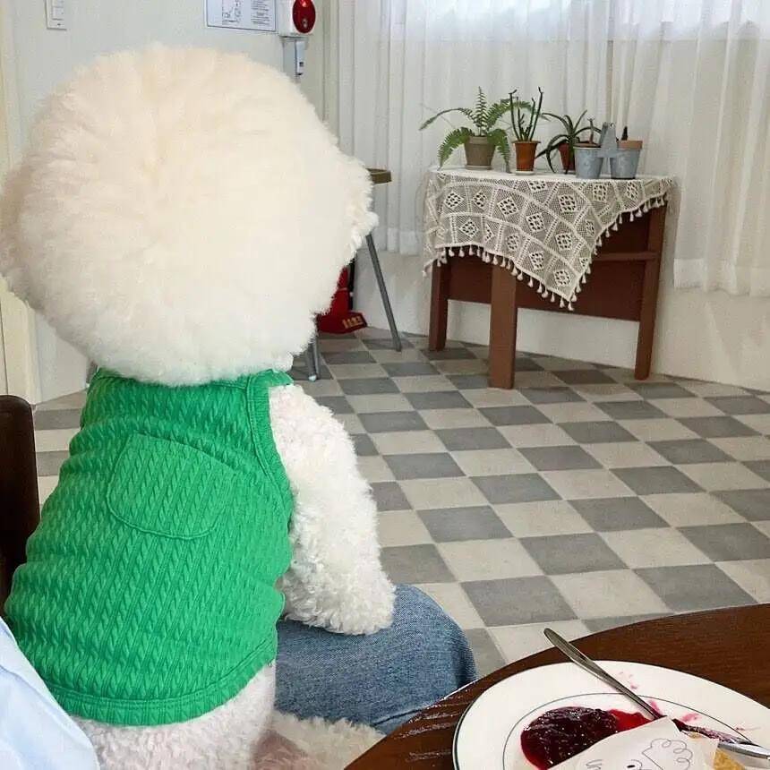 New Dog Vest Fashion Small Pet Suspender Dresses Puppy Costume Pet Thin Clothing Summer Pet Breathable Sling Dog Clothes M