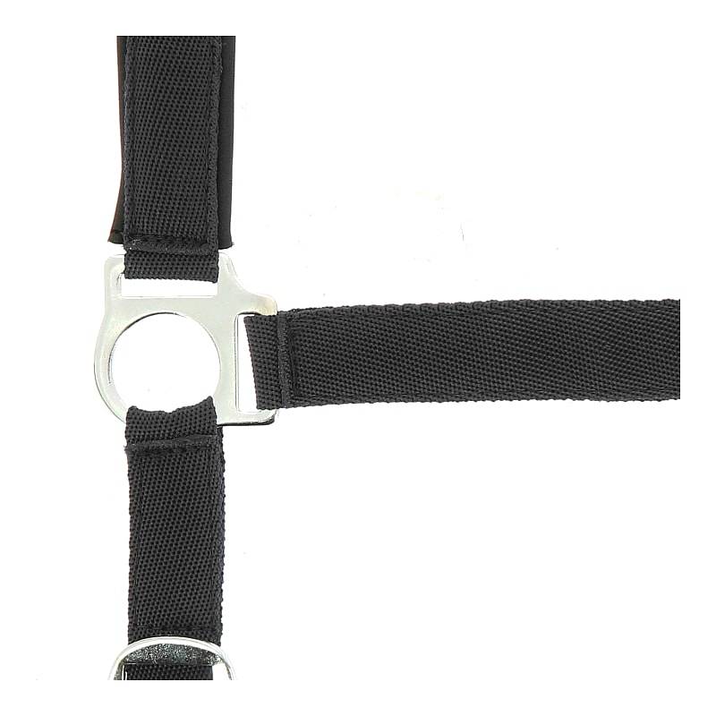 NORTON grimma i nylon med neoprenfoder