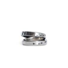 Cross Ring Bird Flight