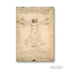 Leonardo da Vinci Poster Anatomy Vitruvian Man