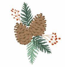 Sizzix Layered Clear Stamps Set - Pine Branches