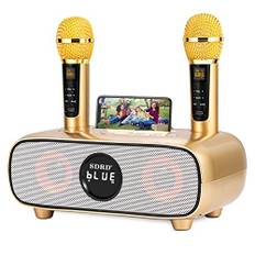 Karaoke Maschine,Bluetooth Karaoke Anlage für Erwachsene und Kinder, Tragbares PA-System mit 2 Mikrofonen,Lautsprecher mit Handyhalter/USB/TF-Karte/AUX-In,für Heimparty,Picknick,Outdoor/Indoor(Gold)