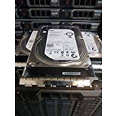 DELL Enterprise HDD RWV72 3TB 7,2 K 3.5in SATA III SEAGATE ST3000NM0033 9ZM178-036 (Renoverad)