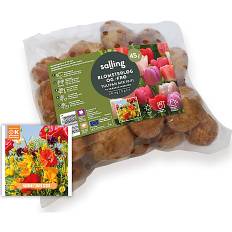 Blomsterløg, frø & tulipan mix 20 løg (På lager i butik)