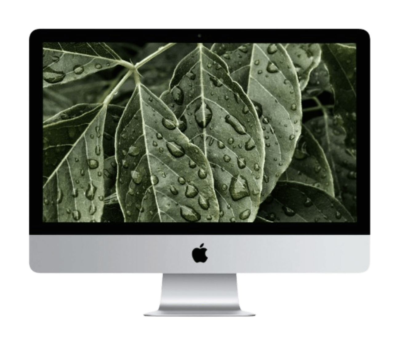 iMac 21.5" 4K (2019) i3