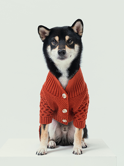 Orange Bert Cardigan Dog Sweater | Warm Knit & Leash Hole | PEHOM - XXS (XXS)