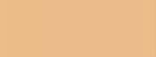 Elizabeth arden (Flawless Finish Sponge-On Makeup Cream) 23 g - Nyans: Softly Beige II