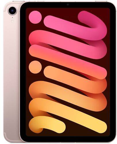 iPad mini (2021) | 8.3" | 256 GB | rosa | 5G
