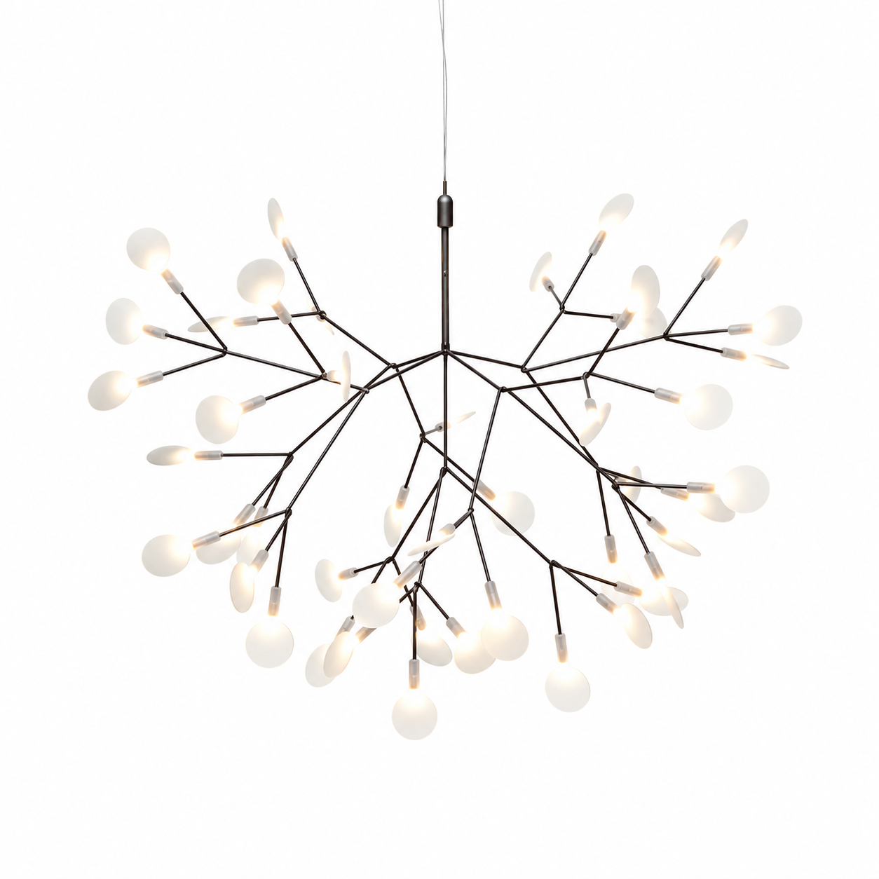 Heracleum III Suspended, Small, nickel fra Moooi - Jacobsen Plus