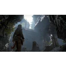 Rise of the Tomb Raider - The Sparrowhawk Pack DLC Steam CD Key